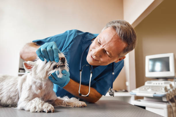 Best Emergency Wisdom Tooth Extraction in Mountville, PA